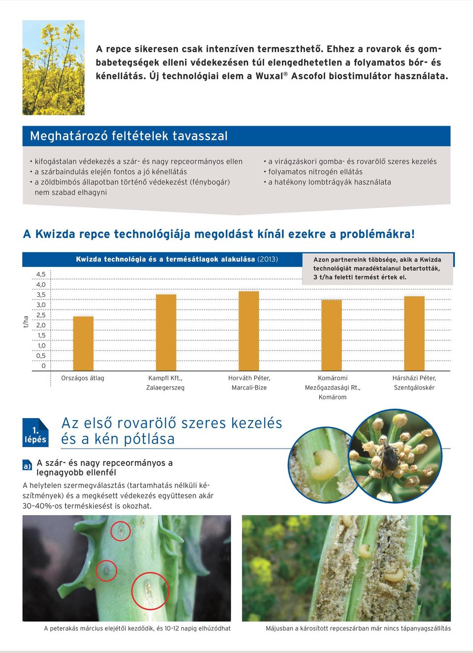 Meghatározó feltételek tavasszal kifogástalan védekezés a szár- és nagy repceormányos ellen a szárbaindulás elején fontos a jó kénellátás a zöldbimbós állapotban történő védekezést (fénybogár) nem