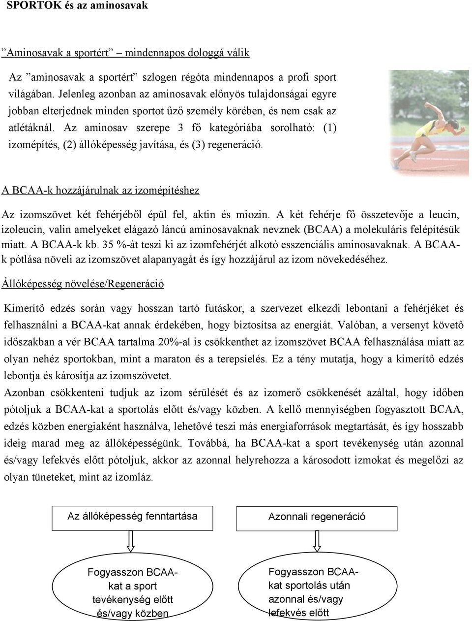 Az aminosav szerepe 3 fő kategóriába sorolható: (1) izomépítés, (2) állóképesség javítása, és (3) regeneráció.