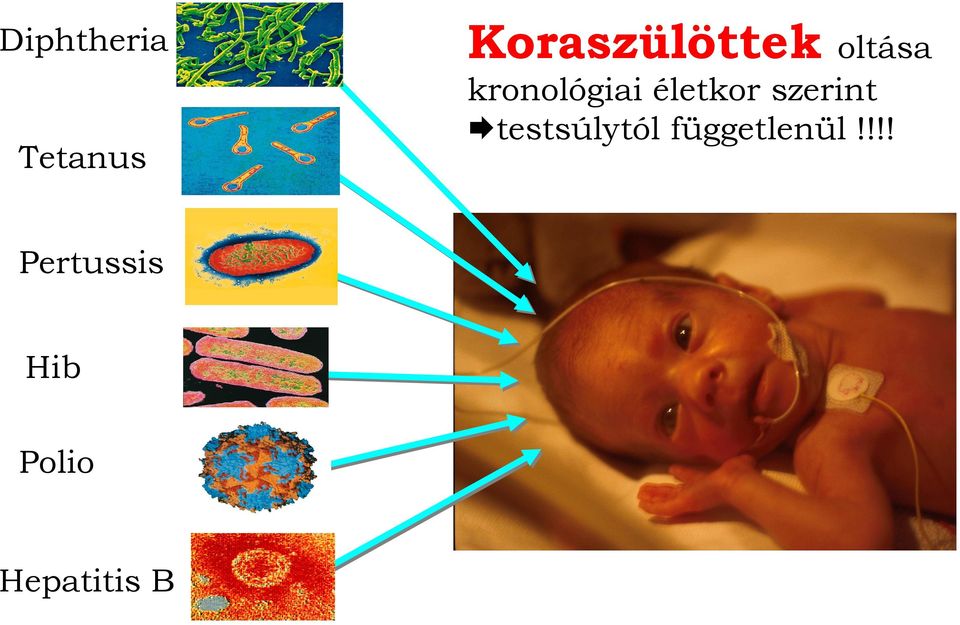 kronológiai életkor szerint