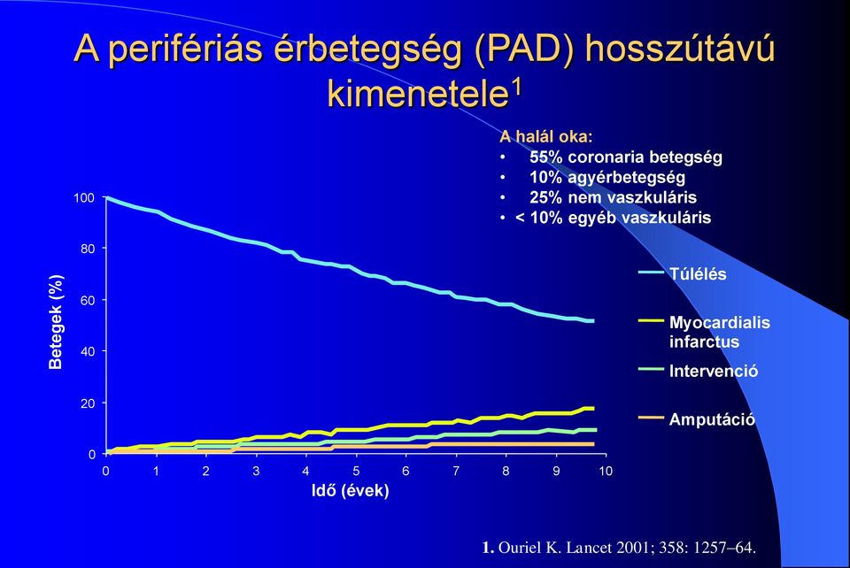 vaszkuláris < 10% egyéb vaszkuláris 0 1 2 3 4 5 6 7 8 9 10 Idő (évek)