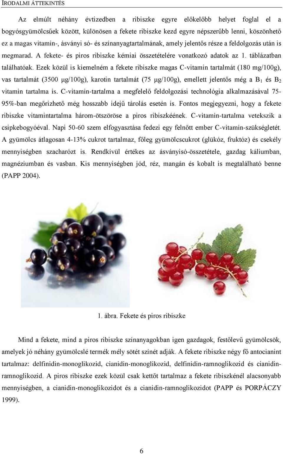 Ezek közül is kiemelném a fekete ribiszke magas C-vitamin tartalmát (180 mg/100g), vas tartalmát (3500 μg/100g), karotin tartalmát (75 μg/100g), emellett jelentős még a B 1 és B 2 vitamin tartalma is.