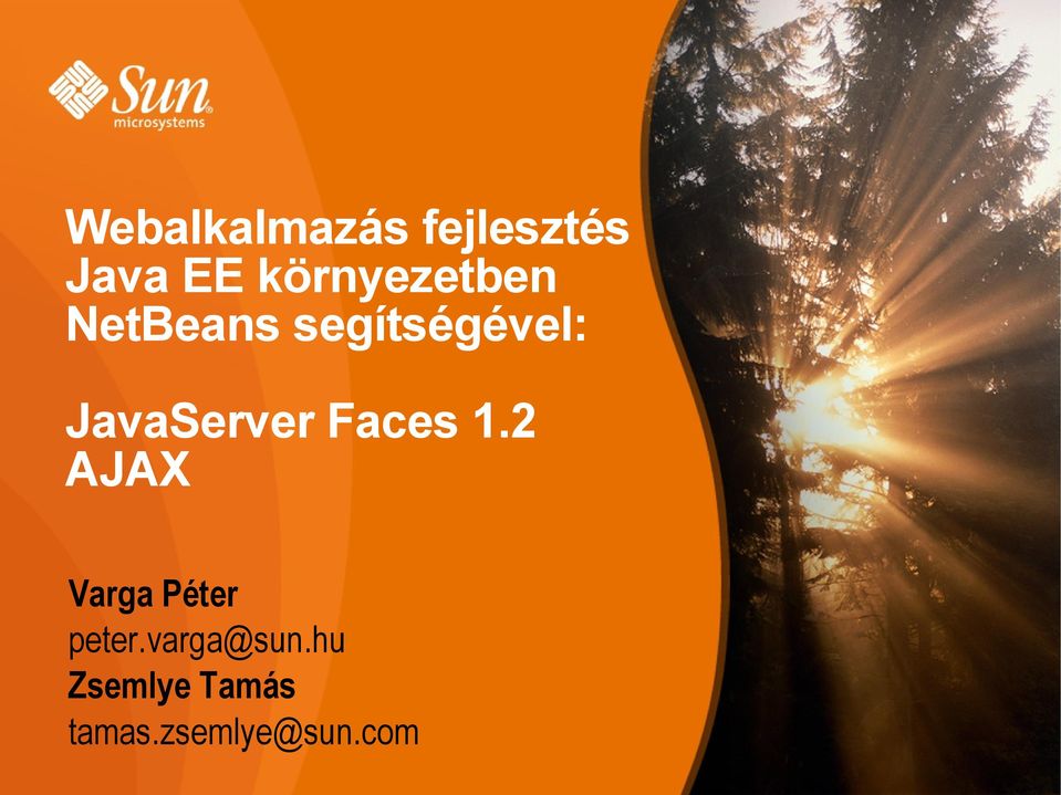 JavaServer Faces 1.