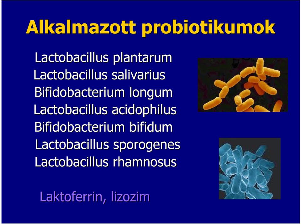 Lactobacillus acidophilus Bifidobacterium bifidum