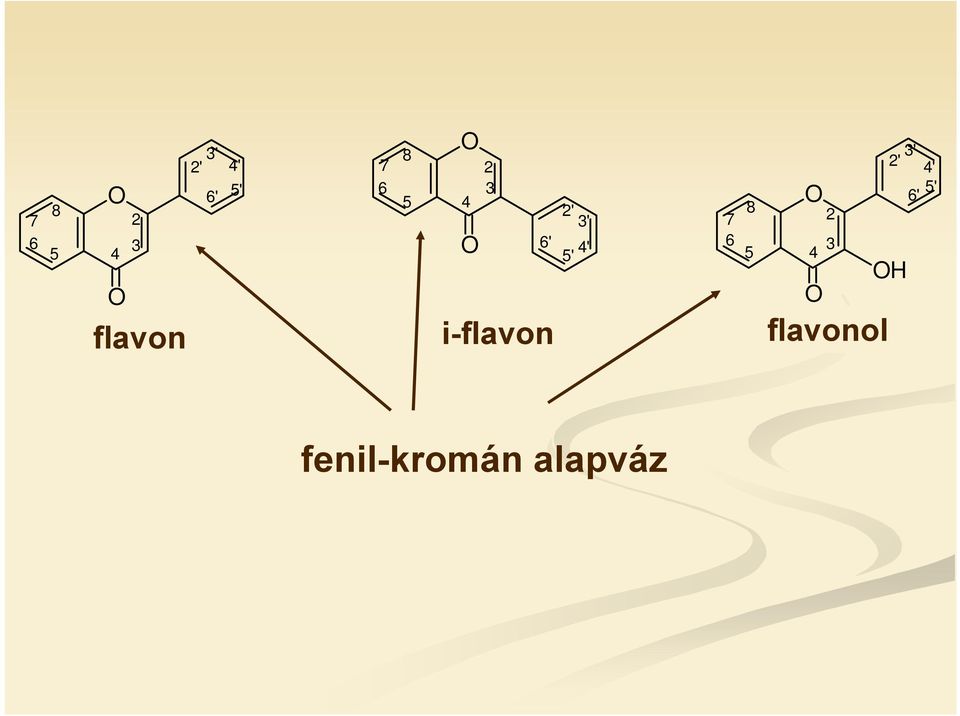 4 flavon i-flavon flavonol 6' 3'