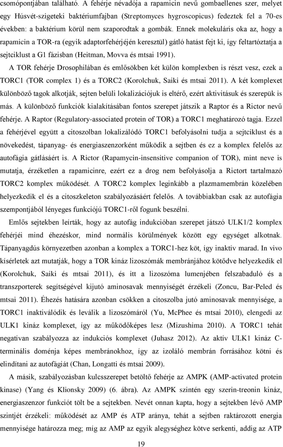 gombák. Ennek molekuláris oka az, hogy a rapamicin a TOR-ra (egyik adaptorfehérjéjén keresztül) gátló hatást fejt ki, így feltartóztatja a sejtciklust a G1 fázisban (Heitman, Movva és mtsai 1991).