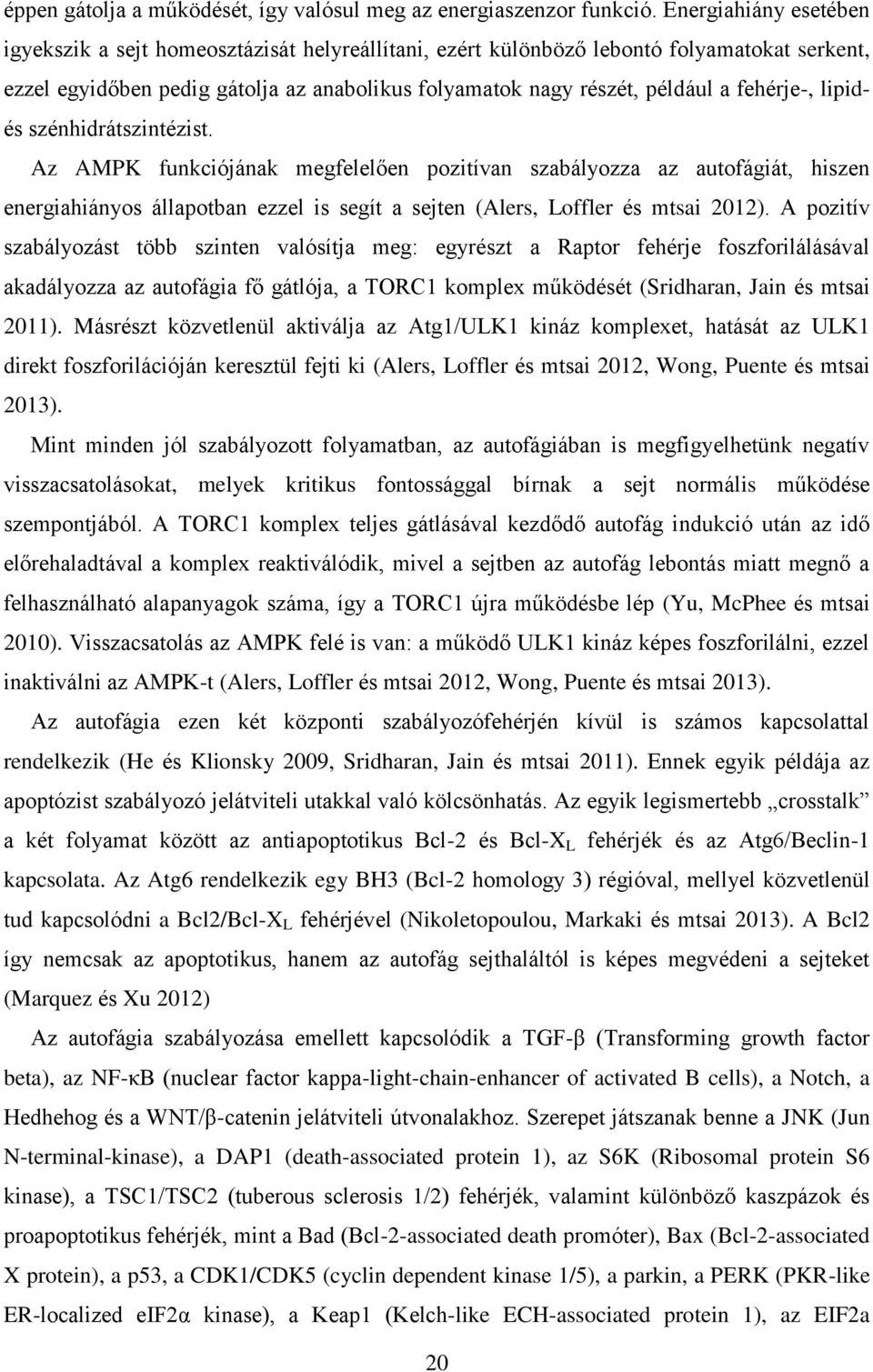 fehérje-, lipidés szénhidrátszintézist. Az AMPK funkciójának megfelelően pozitívan szabályozza az autofágiát, hiszen energiahiányos állapotban ezzel is segít a sejten (Alers, Loffler és mtsai 2012).