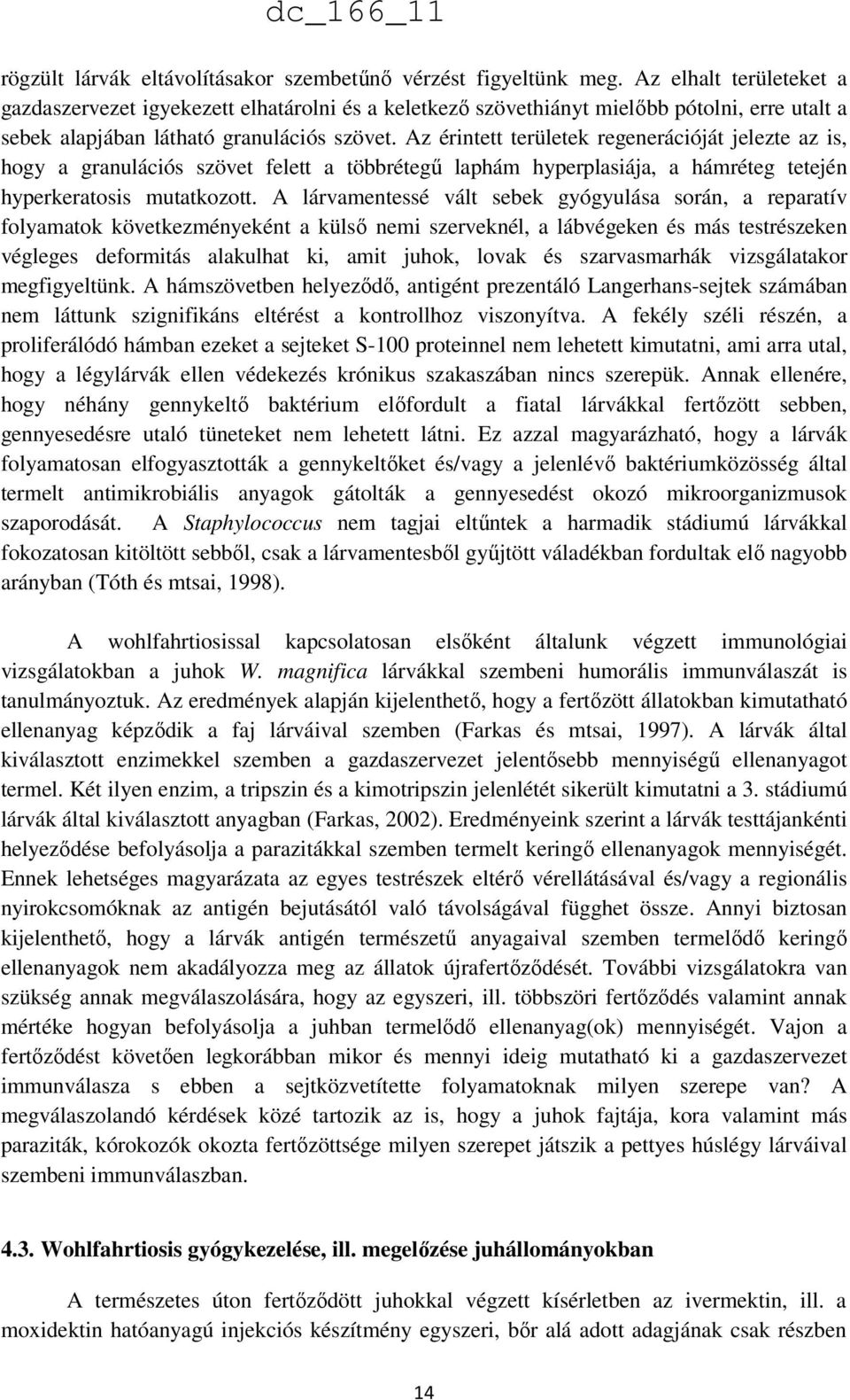 Az érintett területek regenerációját jelezte az is, hogy a granulációs szövet felett a többrétegű laphám hyperplasiája, a hámréteg tetején hyperkeratosis mutatkozott.