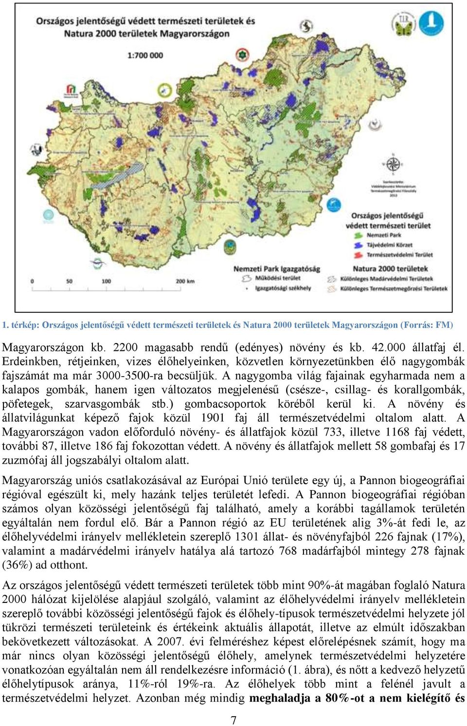 A nagygomba világ fajainak egyharmada nem a kalapos gombák, hanem igen változatos megjelenésű (csésze-, csillag- és korallgombák, pöfetegek, szarvasgombák stb.) gombacsoportok köréből kerül ki.