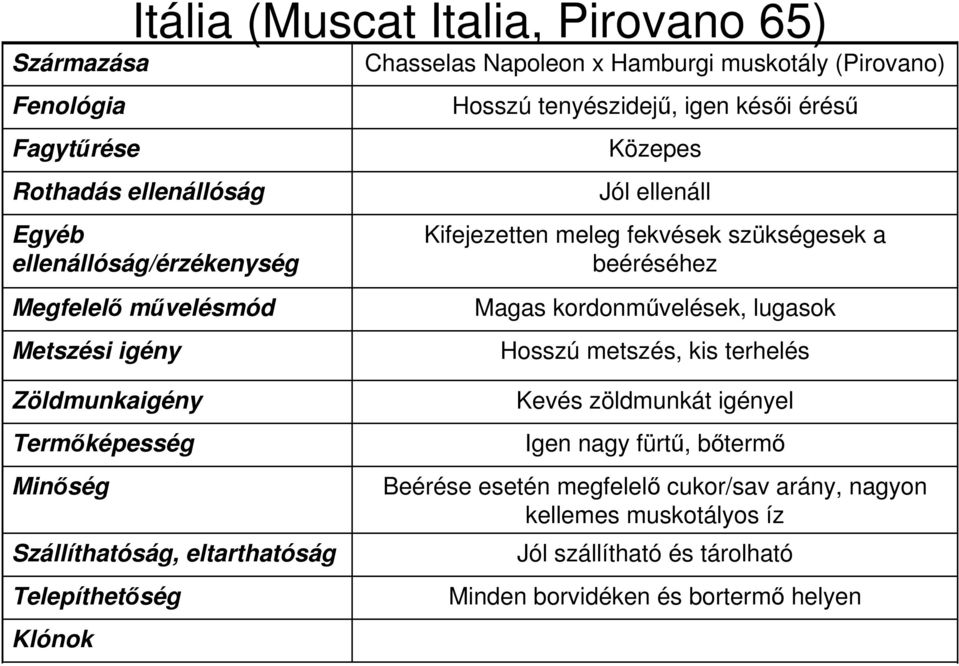 Magas kordonművelések, lugasok Hosszú metszés, kis terhelés Kevés zöldmunkát igényel Igen nagy fürtű,