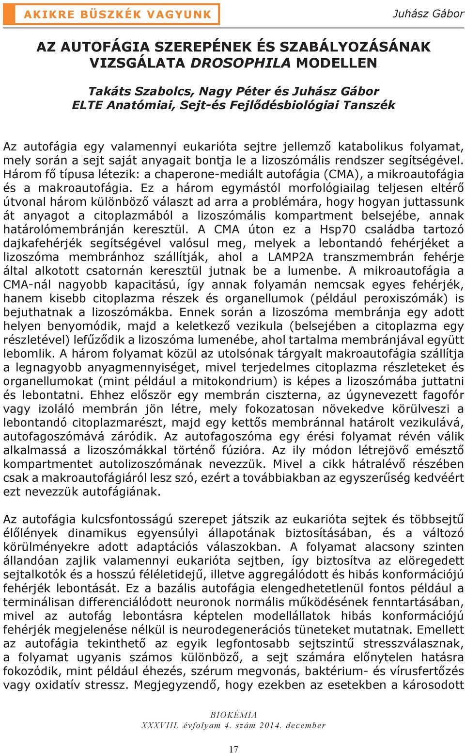 Három fő típusa létezik: a chaperone-mediált autofágia (CMA), a mikroautofágia és a makroautofágia.