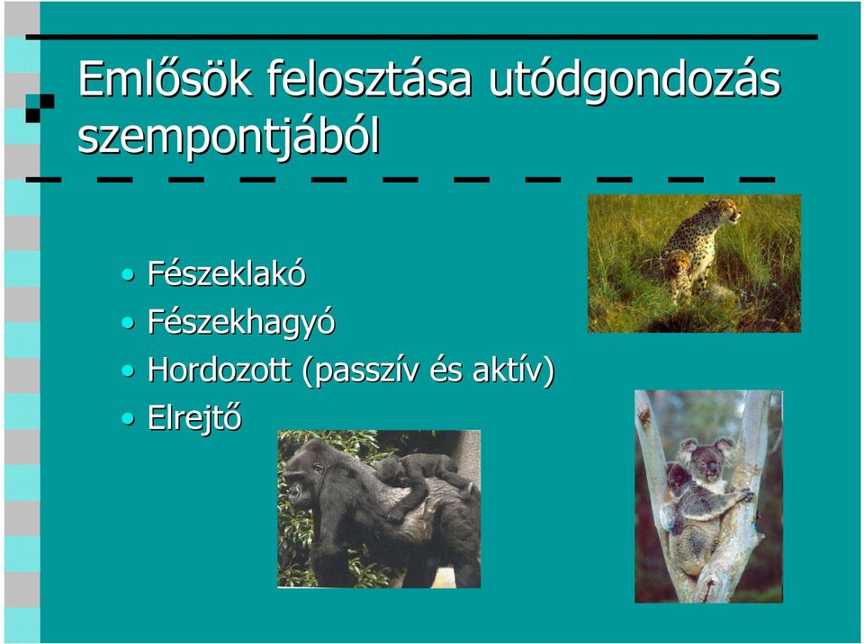 szempontjából Fészeklakó