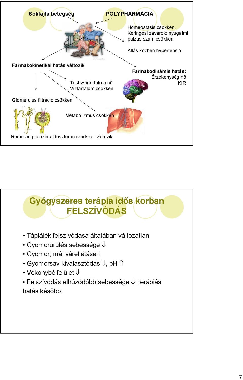 csökken Renin-angitienzin-aldoszteron rendszer változik Gyógyszeres terápia idıs korban FELSZÍVÓDÁS Táplálék felszívódása általában változatlan