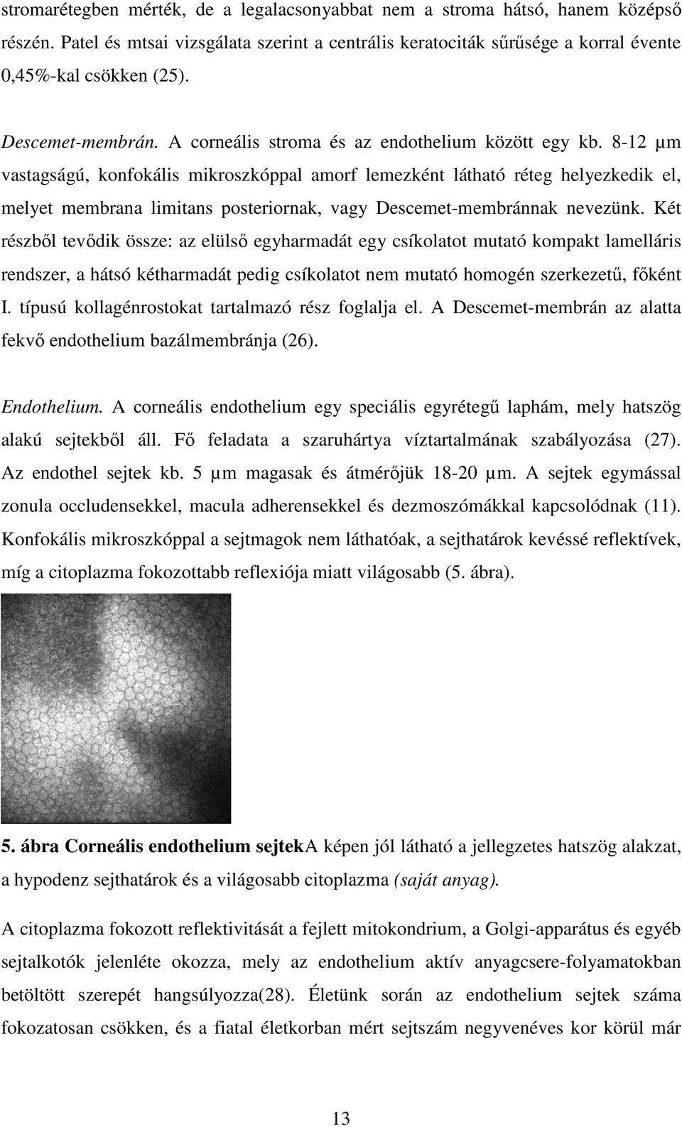 8-12 µm vastagságú, konfokális mikroszkóppal amorf lemezként látható réteg helyezkedik el, melyet membrana limitans posteriornak, vagy Descemet-membránnak nevezünk.