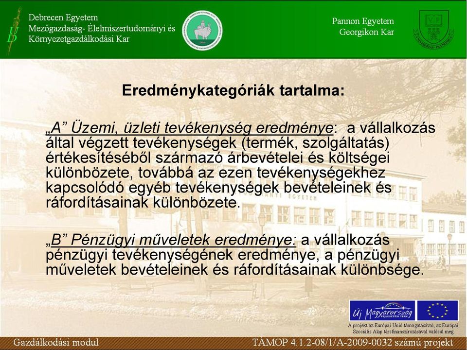 tevékenységekhez kapcsolódó egyéb tevékenységek bevételeinek és ráfordításainak különbözete.