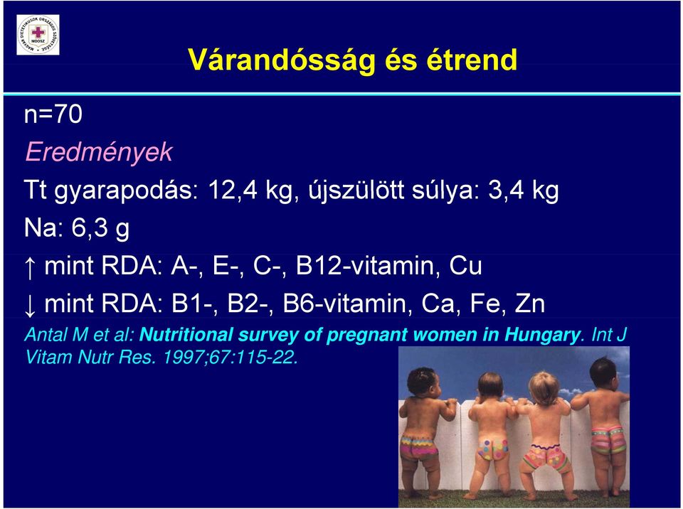 Cu mint RDA: B1-, B2-, B6-vitamin, Ca, Fe, Zn Antal M et al: