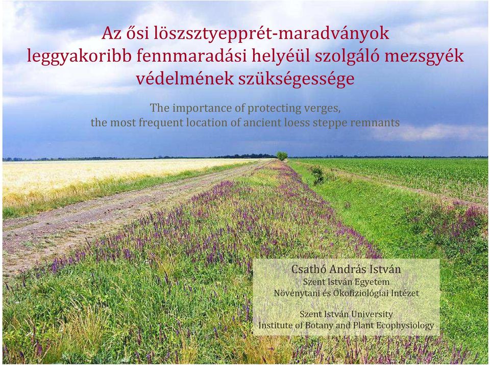 of ancient loess steppe remnants Csathó András István Szent István Egyetem Növénytani és