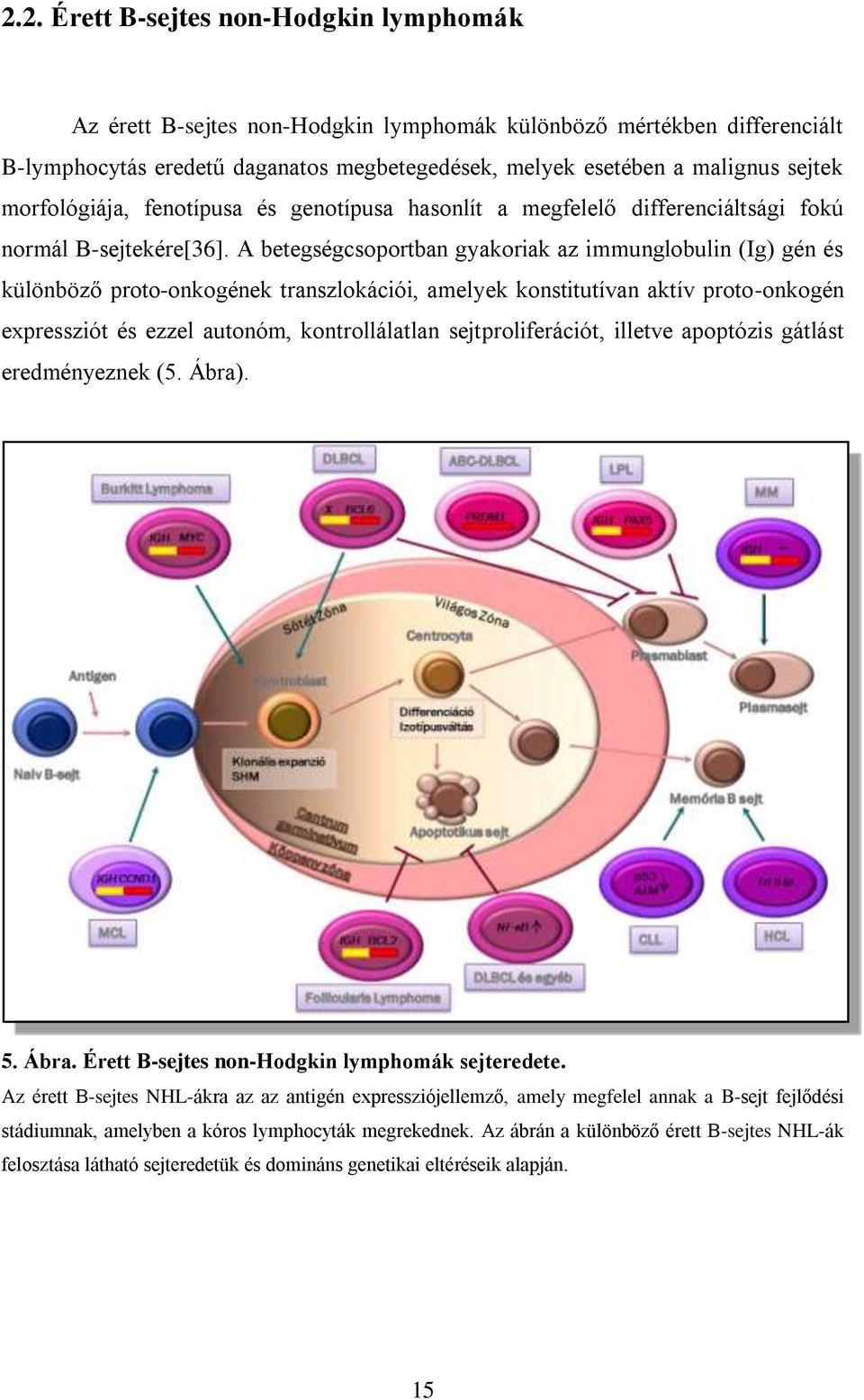 A betegségcsoportban gyakoriak az immunglobulin (Ig) gén és különböző proto-onkogének transzlokációi, amelyek konstitutívan aktív proto-onkogén expressziót és ezzel autonóm, kontrollálatlan