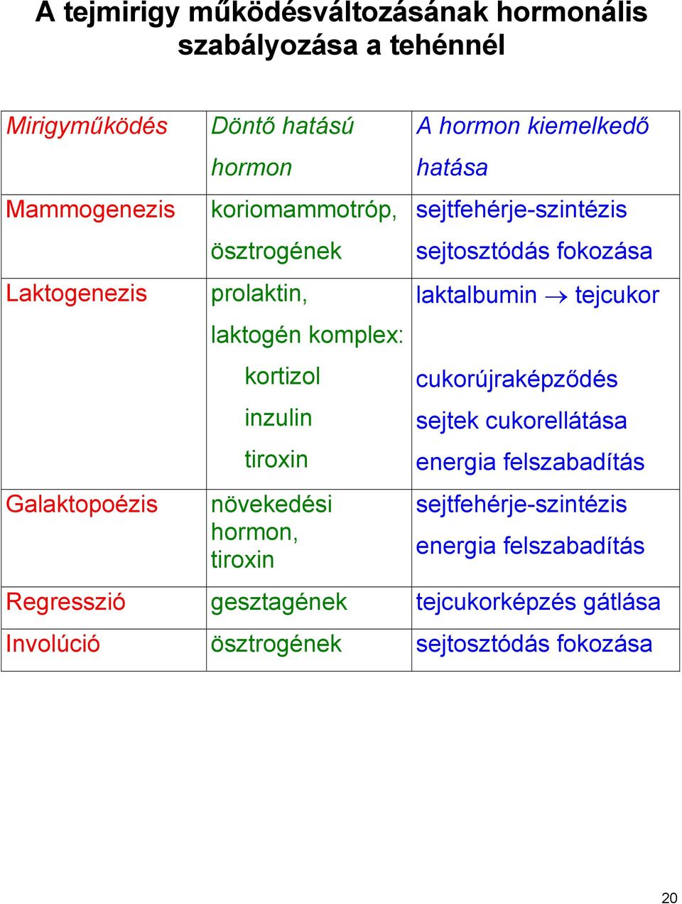 kiemelkedő hatása sejtfehérje-szintézis sejtosztódás fokozása laktalbumin tejcukor cukorújraképződés sejtek cukorellátása energia