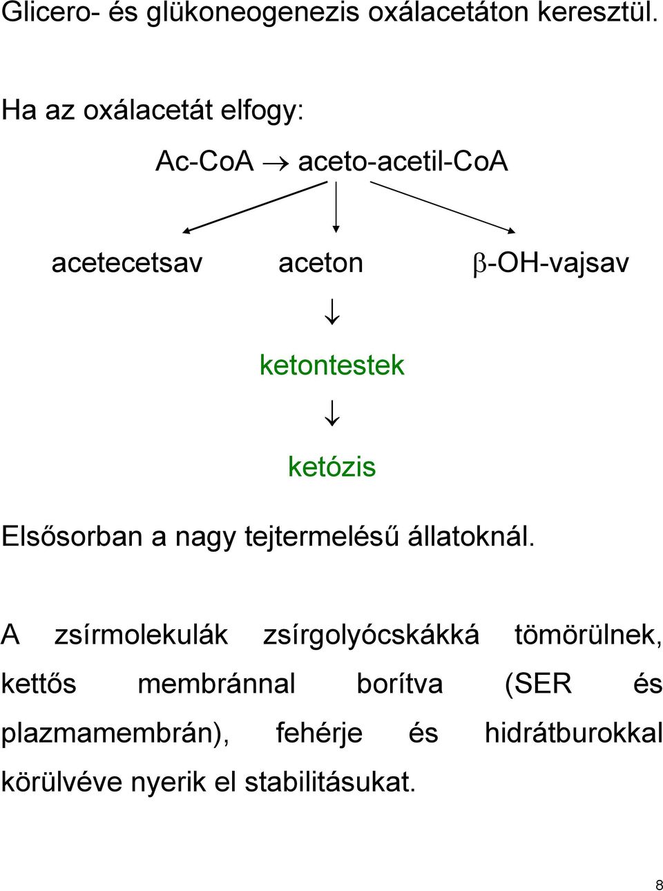 ketontestek ketózis Elsősorban a nagy tejtermelésű állatoknál.