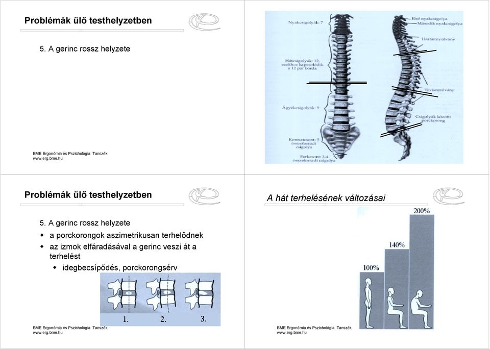 terhelésének változásai 5. A gerinc rossz helyzete!