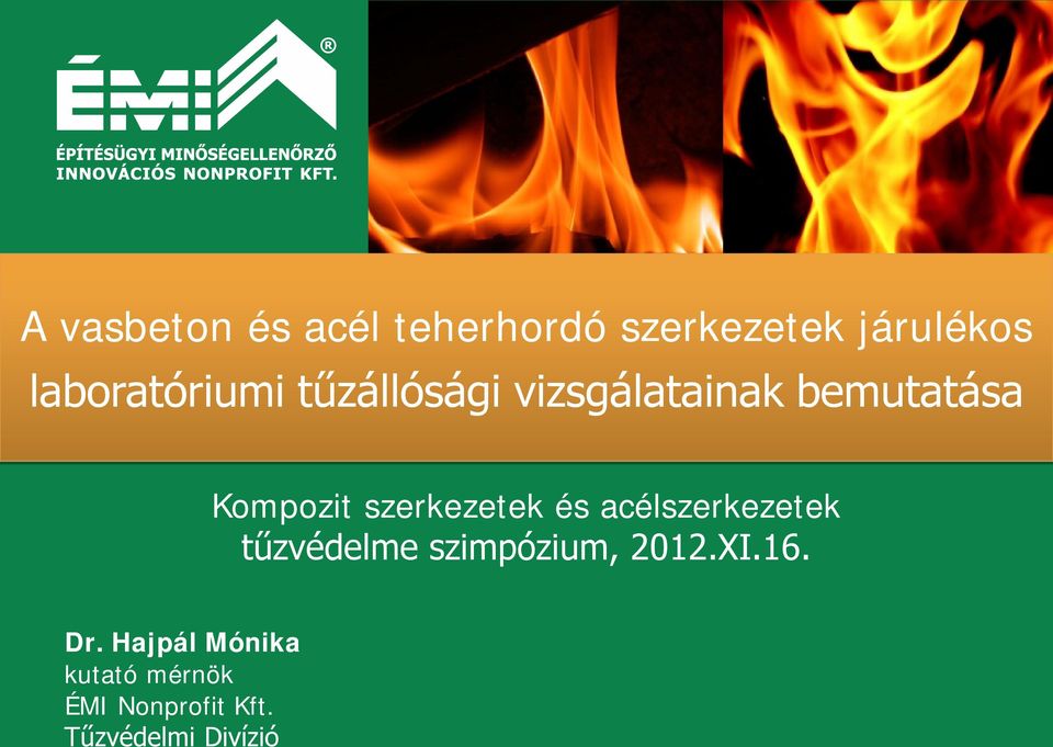 szerkezetek és acélszerkezetek tűzvédelme szimpózium, 2012.XI.