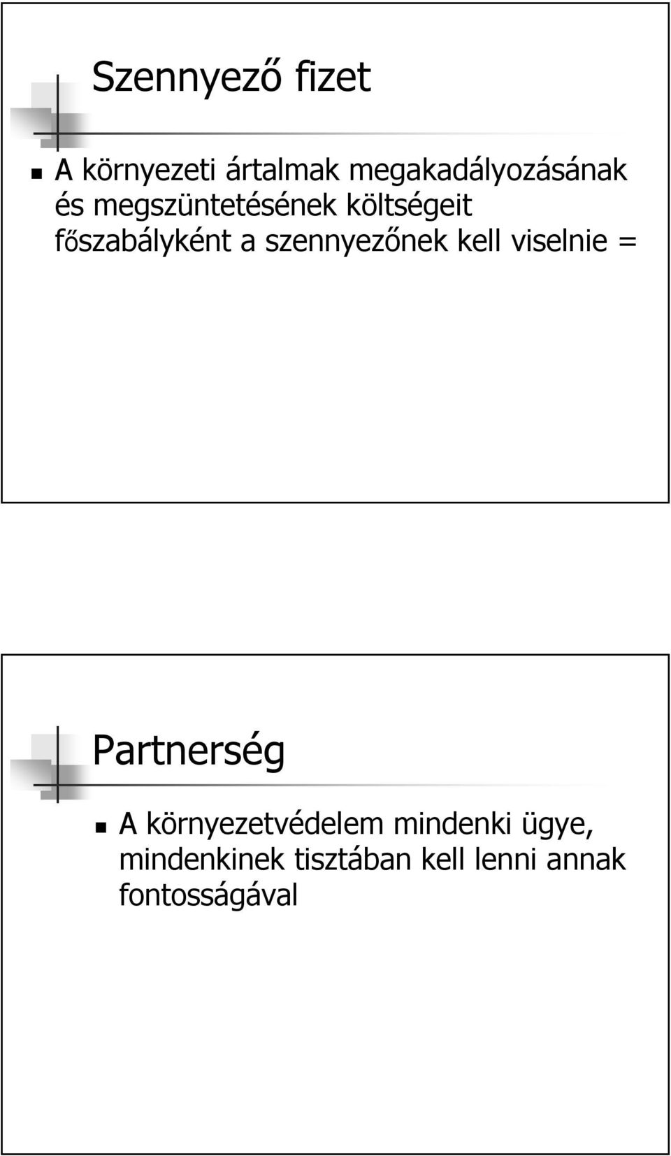 szennyezőnek kell viselnie = Partnerség A