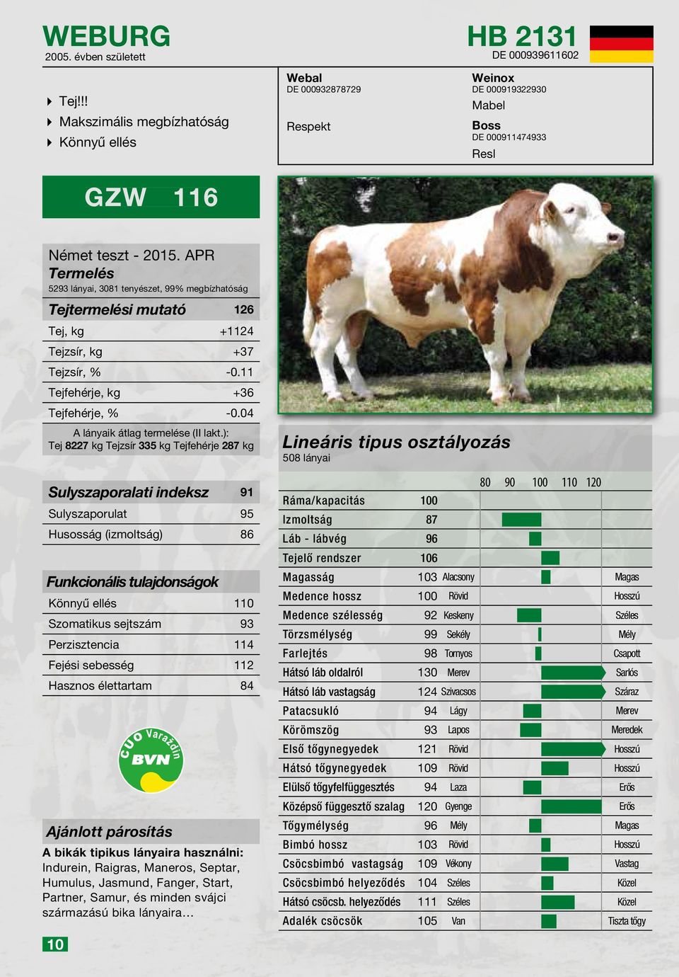 Tejtermelési mutató 126 Tej, kg +1124 Tejzsír, kg +37 Tejzsír, % -0.11 Tejfehérje, kg +36 Tejfehérje, % -0.04 A lányaik átlag termelése (II lakt.