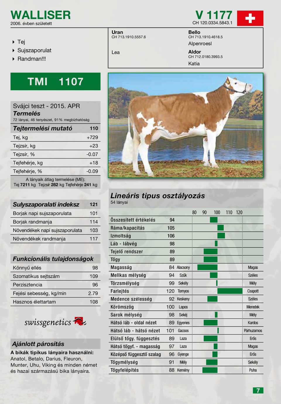 09 A lányaik átlag termelése (ME): Tej 7211 kg Tejzsír 282 kg Tejfehérje 241 kg Sulyszaporalati indeksz 121 Borjak napi sujszaporulata 101 Borjak randmanja 114 Növendékek napi sujszaporulata 103