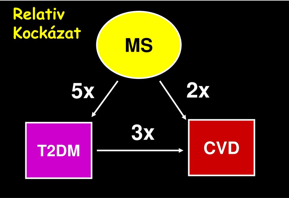 MS 5x 2x