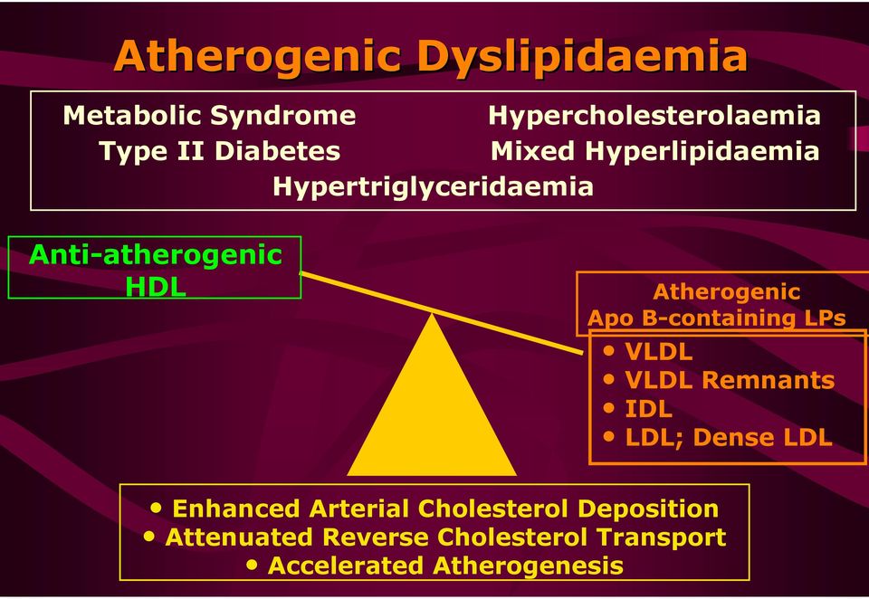 Atherogenic Apo B-containing LPs VLDL VLDL Remnants IDL LDL; Dense LDL Enhanced