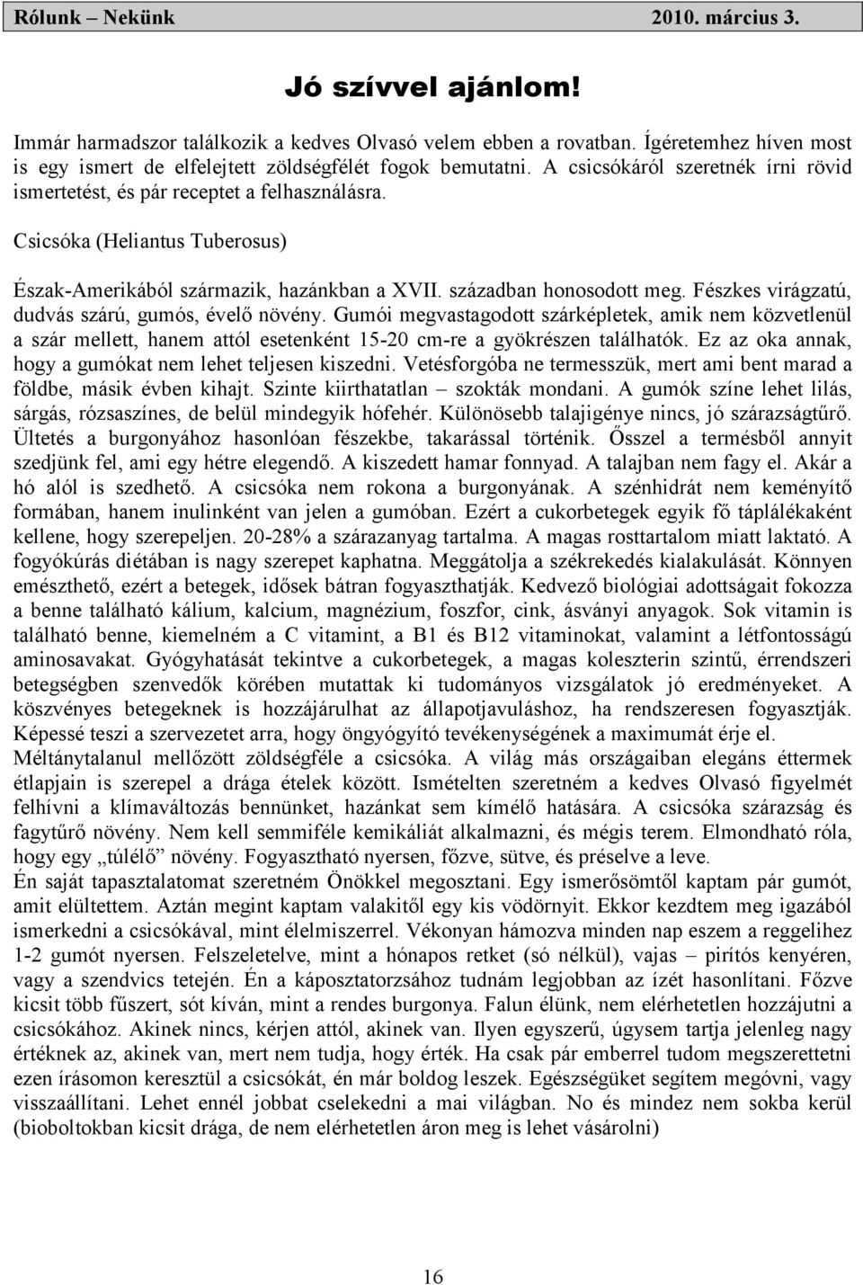 Fészkes virágzatú, dudvás szárú, gumós, évelő növény. Gumói megvastagodott szárképletek, amik nem közvetlenül a szár mellett, hanem attól esetenként 15-20 cm-re a gyökrészen találhatók.