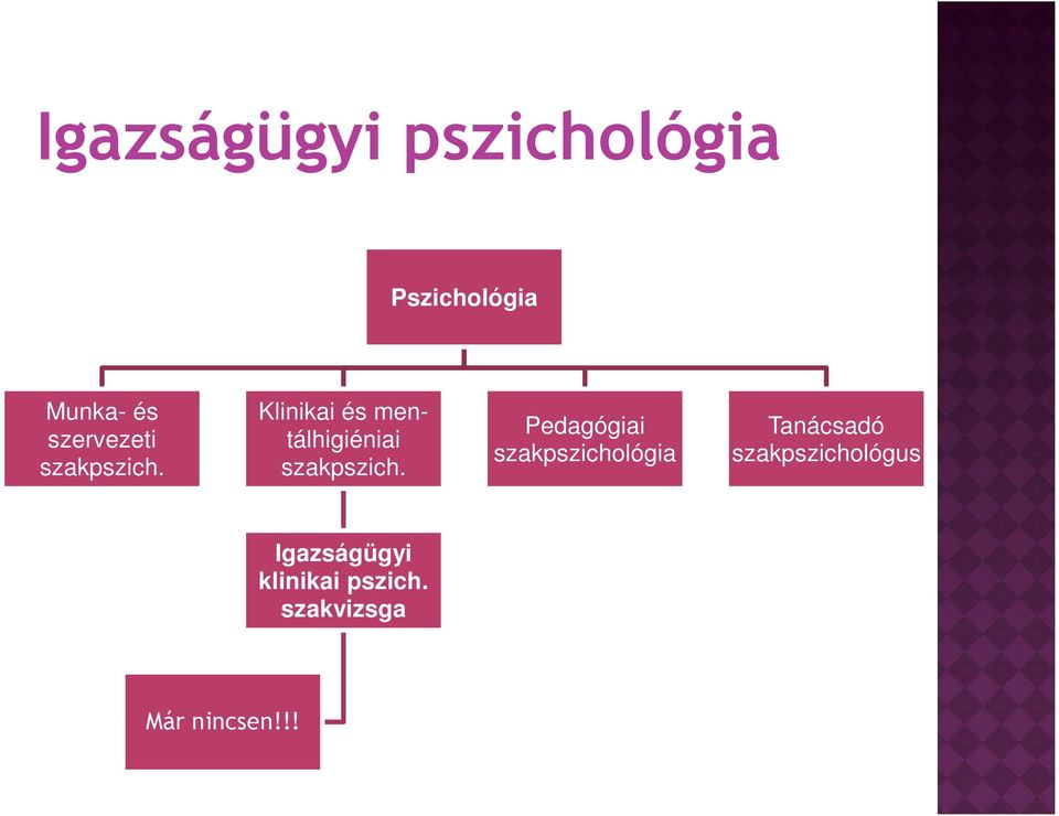 Klinikai és mentálhigiéniai szakpszich.