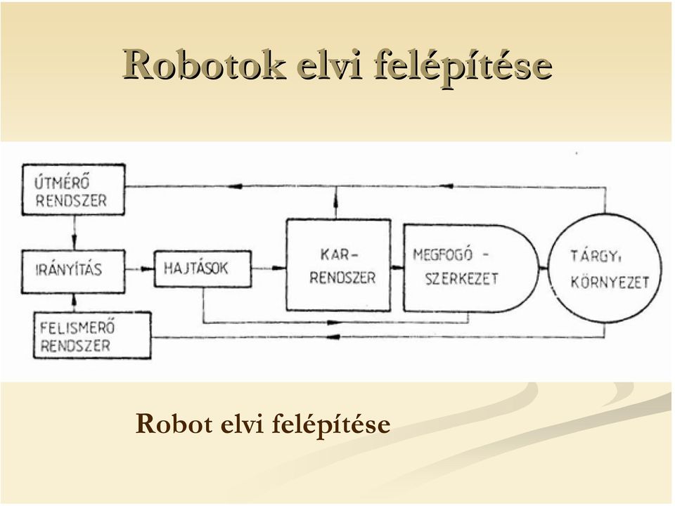 felépítése