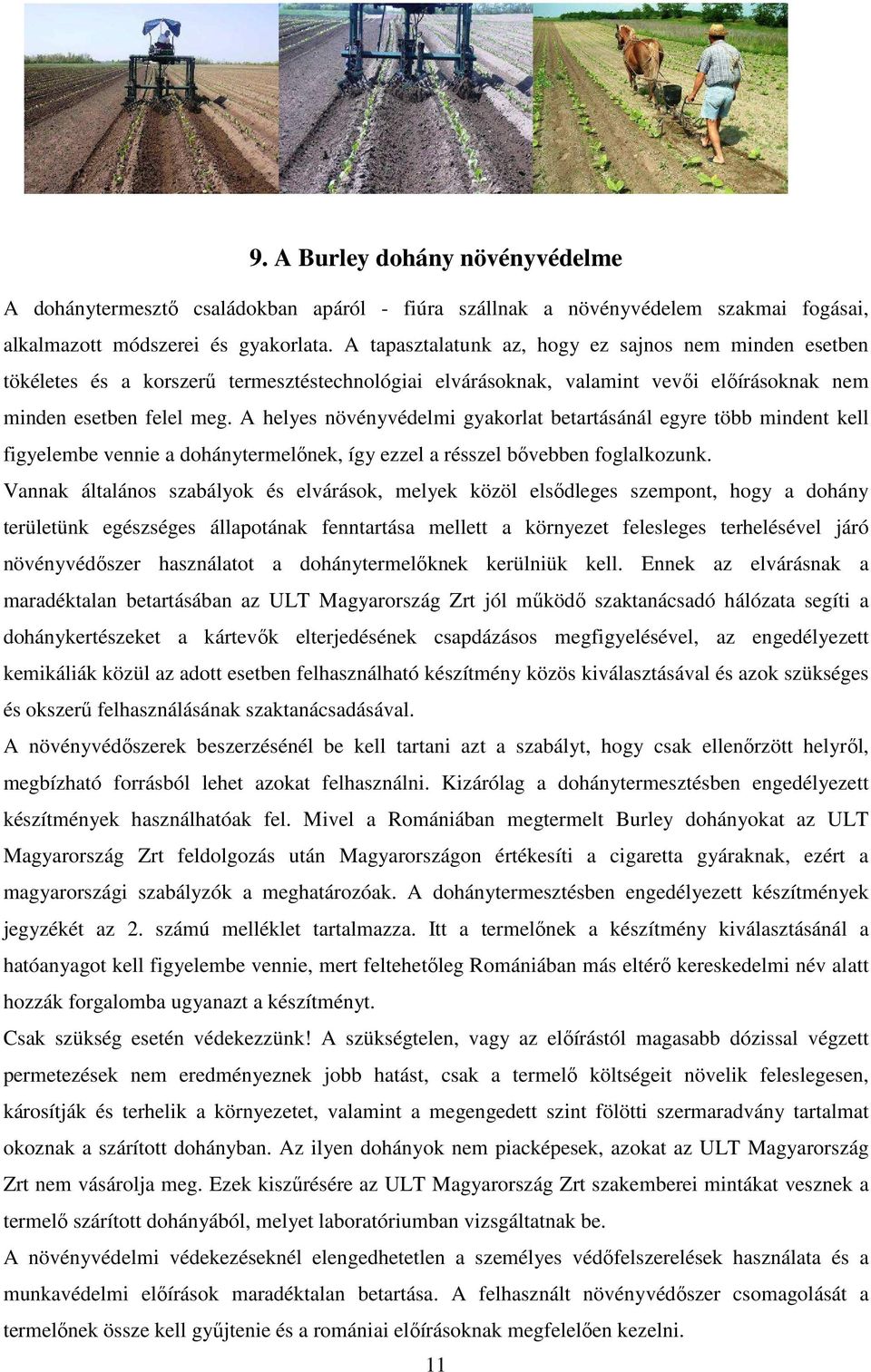 A helyes növényvédelmi gyakorlat betartásánál egyre több mindent kell figyelembe vennie a dohánytermelınek, így ezzel a résszel bıvebben foglalkozunk.