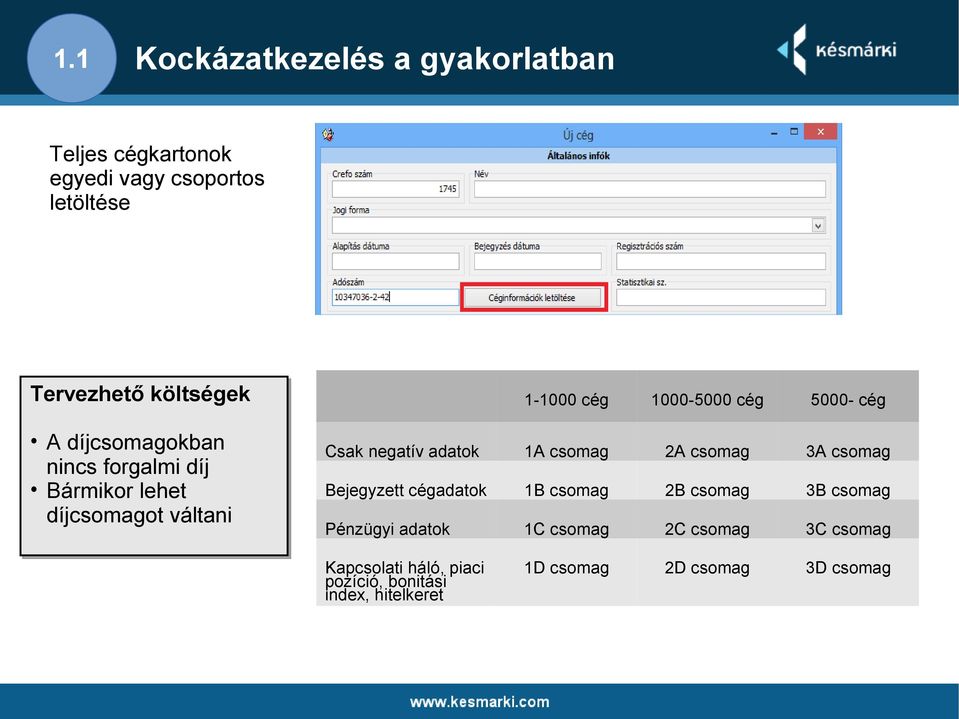 váltani 1-1000 cég 1000-5000 cég 5000- cég Csak negatív adatok 1A csomag 2A csomag 3A csomag Bejegyzett cégadatok 1B csomag 2B csomag