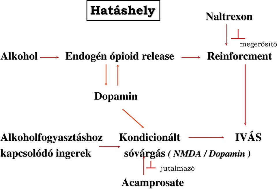 Alkoholfogyasztáshoz shoz Kondicionált IVÁS