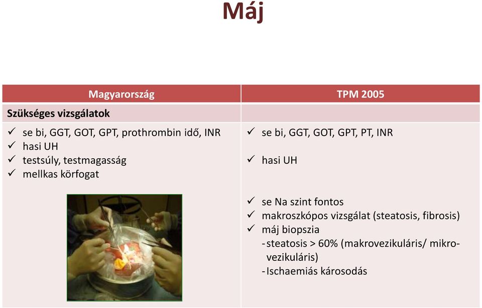 PT, INR hasi UH se Na szint fontos makroszkópos vizsgálat (steatosis, fibrosis)