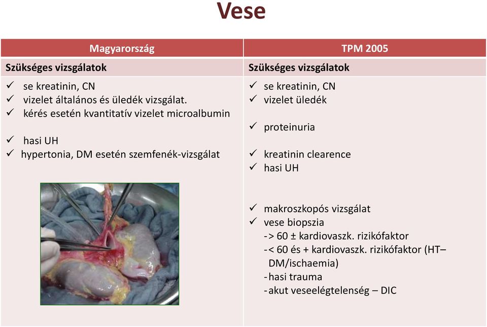 vizsgálatok se kreatinin, CN vizelet üledék proteinuria kreatinin clearence hasi UH makroszkopós vizsgálat vese