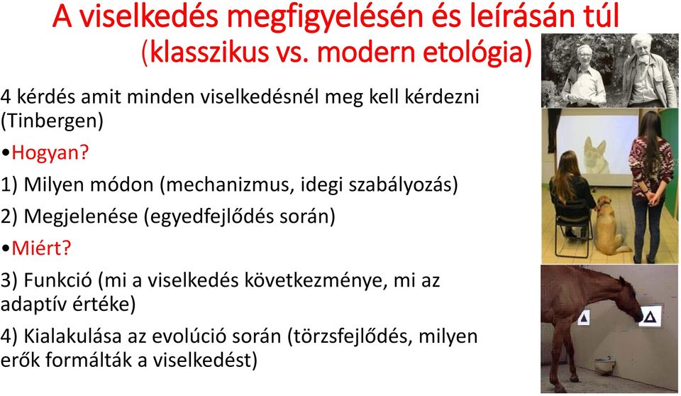 1) Milyen módon (mechanizmus, idegi szabályozás) 2) Megjelenése (egyedfejlődés során) Miért?