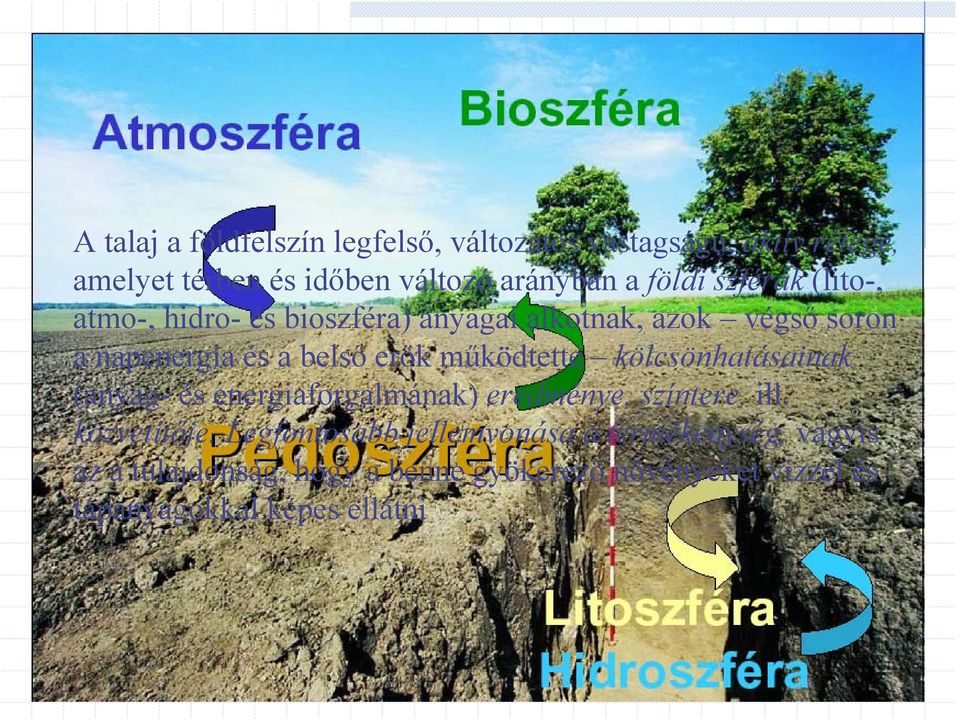 belső erők működtette kölcsönhatásainak (anyag- és energiaforgalmának) eredménye, színtere, ill. közvetítője.