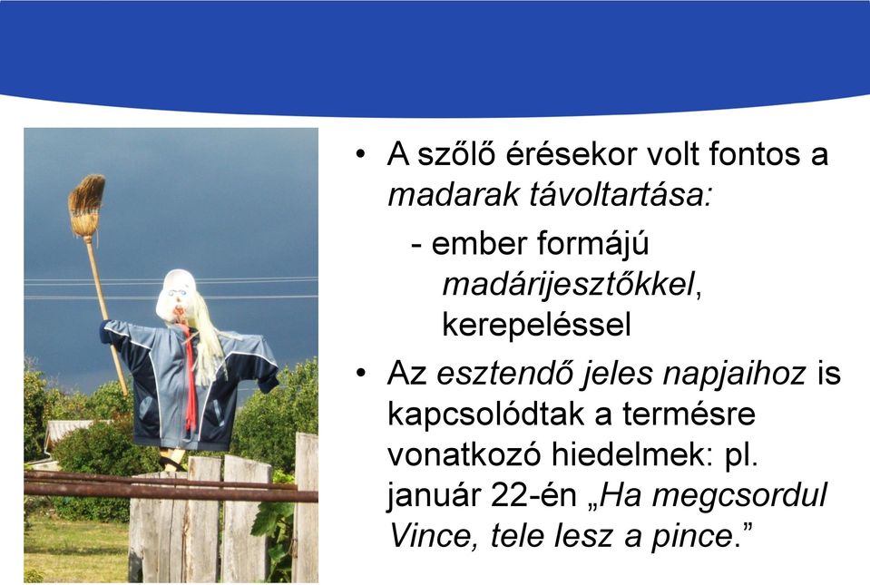 jeles napjaihoz is kapcsolódtak a termésre vonatkozó