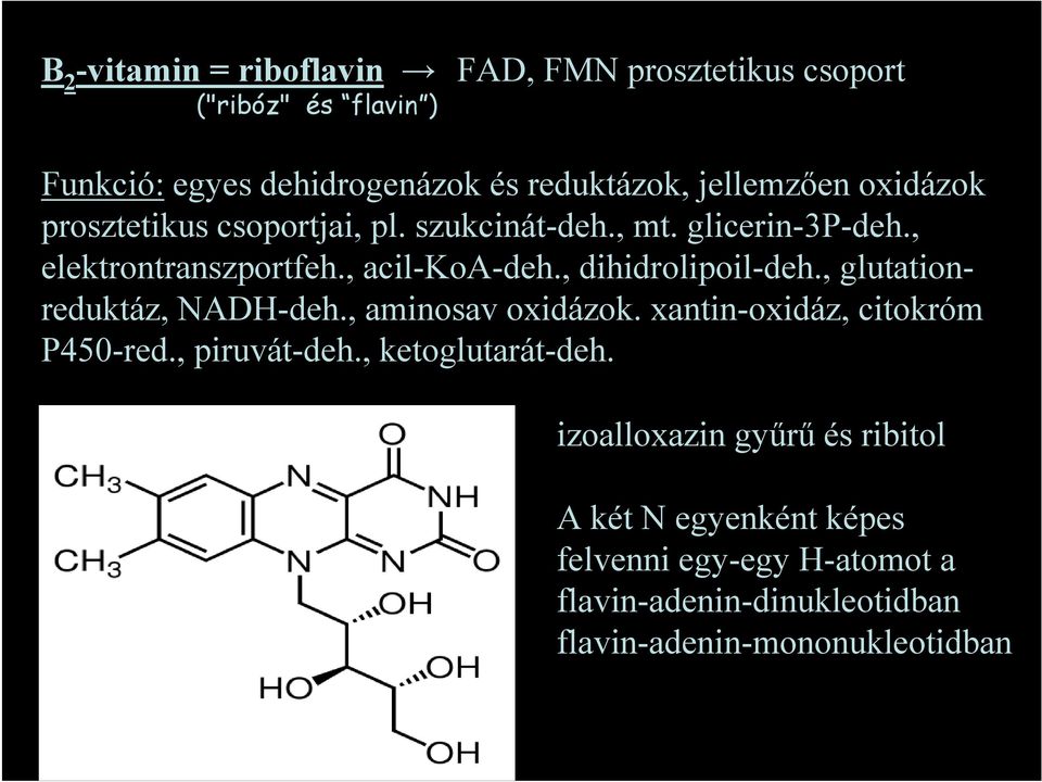 , dihidrolipoil-deh., glutationreduktáz, NADH-deh., aminosav oxidázok. xantin-oxidáz, citokróm P450-red., piruvát-deh.