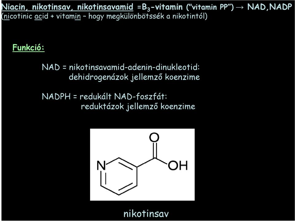 Funkció: NAD = nikotinsavamid-adenin-dinukleotid: dehidrogenázok