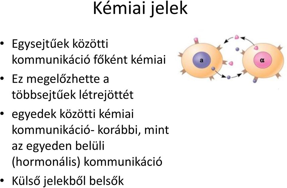 egyedek közötti kémiai kommunikáció- korábbi, mint az