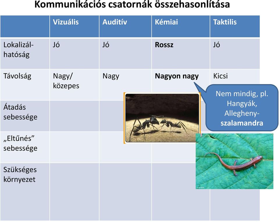 Átadás sebessége Eltűnés sebessége Nagy/ közepes Nagy Nagyon