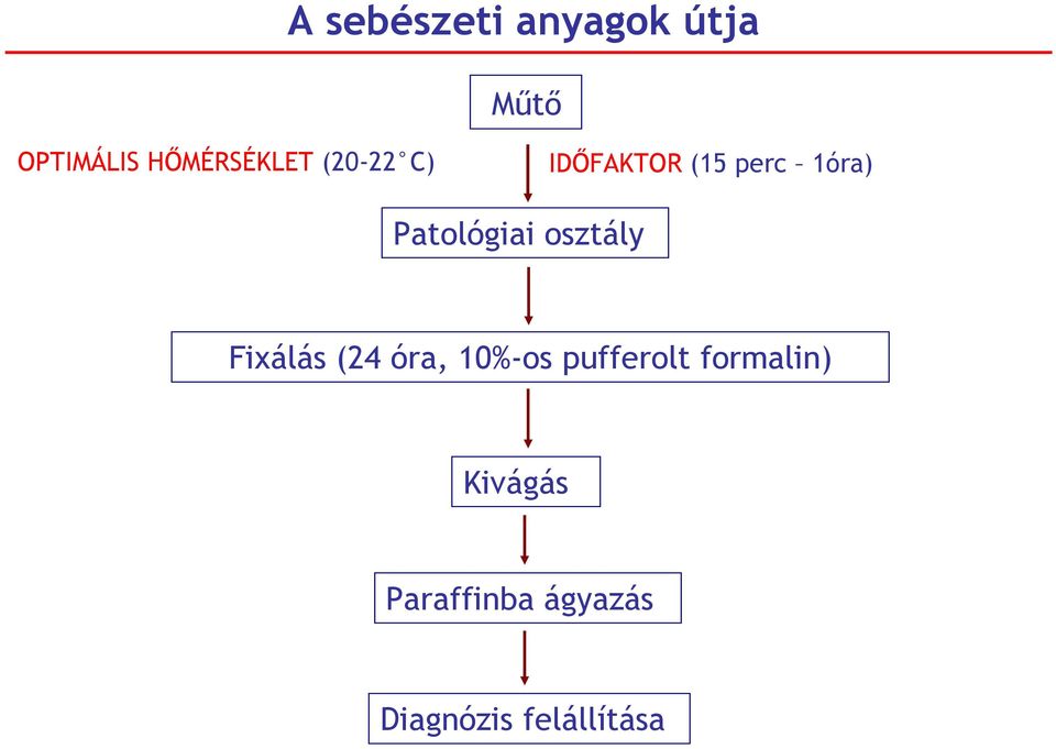 Patológiai osztály Fixálás (24 óra, 10%-os