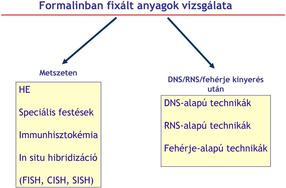 hibridizáció DNS/RNS/fehérje kinyerés után DNS-alapú