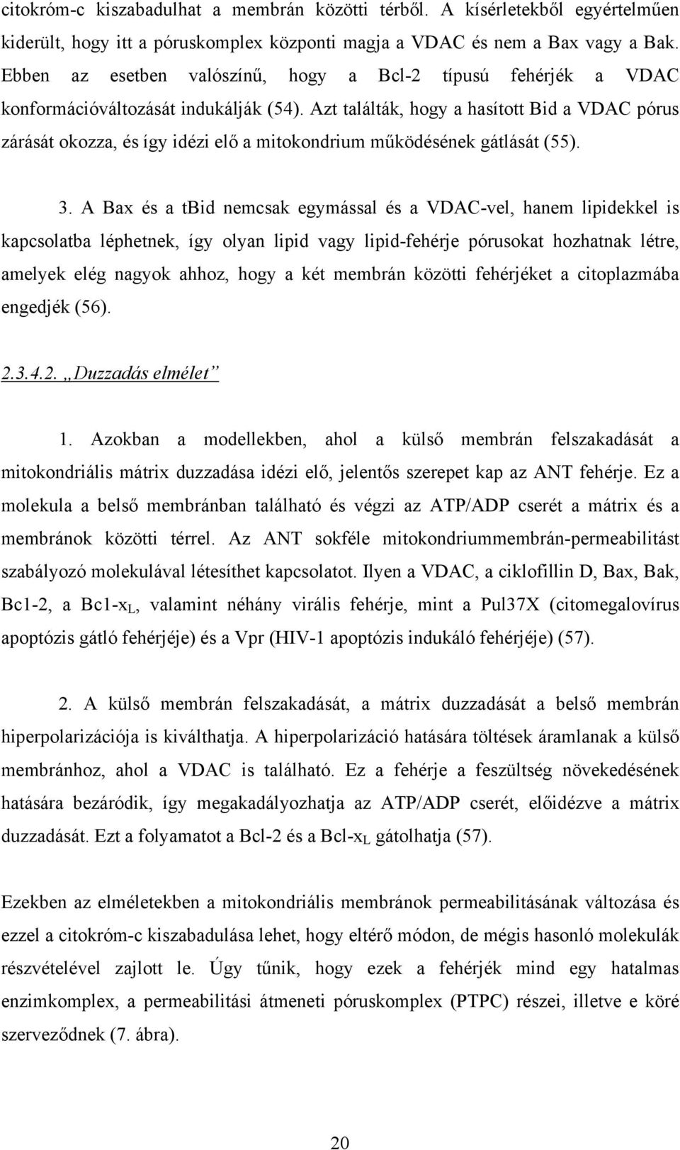 Azt találták, hogy a hasított Bid a VDAC pórus zárását okozza, és így idézi elő a mitokondrium működésének gátlását (55). 3.