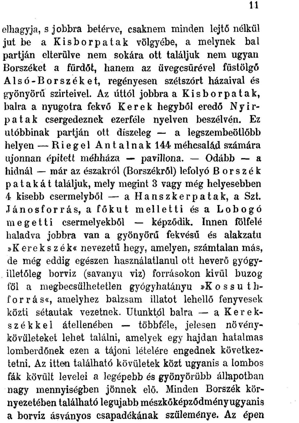 Az úttól jobbra a Kisborpatak, balra a nyugotra fekvő Kerek hegyből eredő Nyirpatak csergedeznek ezerféle nyelven beszélvén.