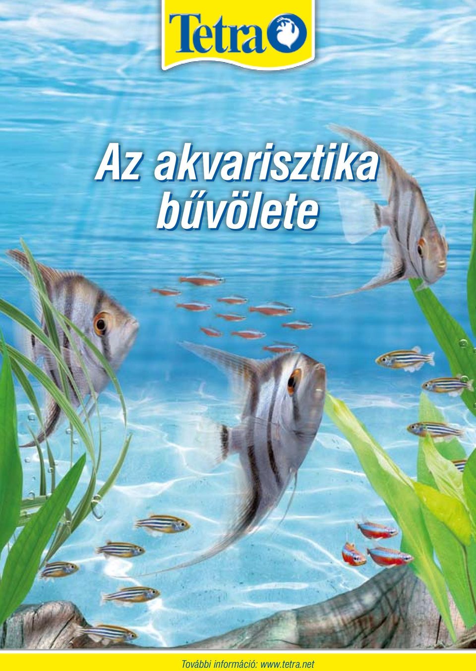 bűvölete